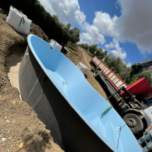 Descargamos piscina modelo riñón Descargamos piscina modelo riñón