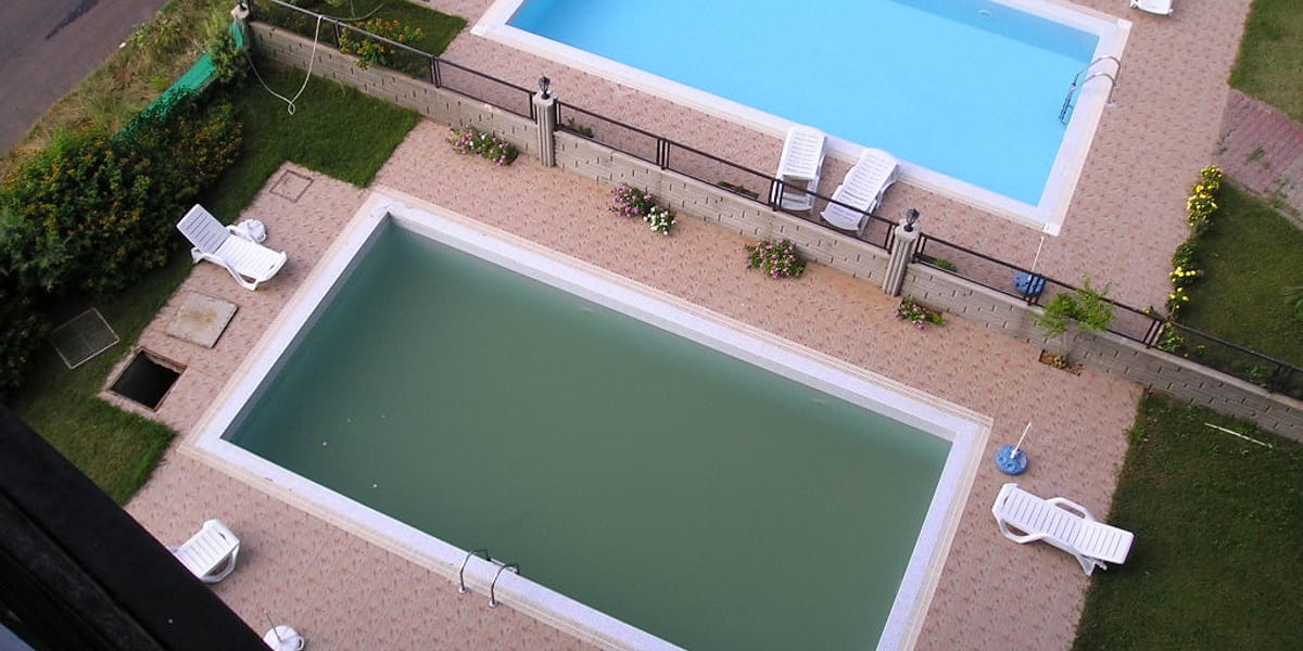 Manual de la piscina: eliminar agua verde